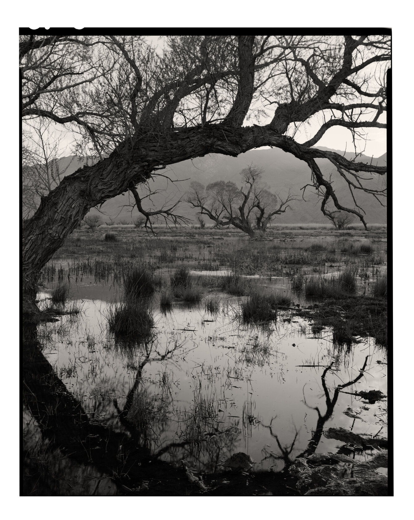 Sunrise, Owens Valley