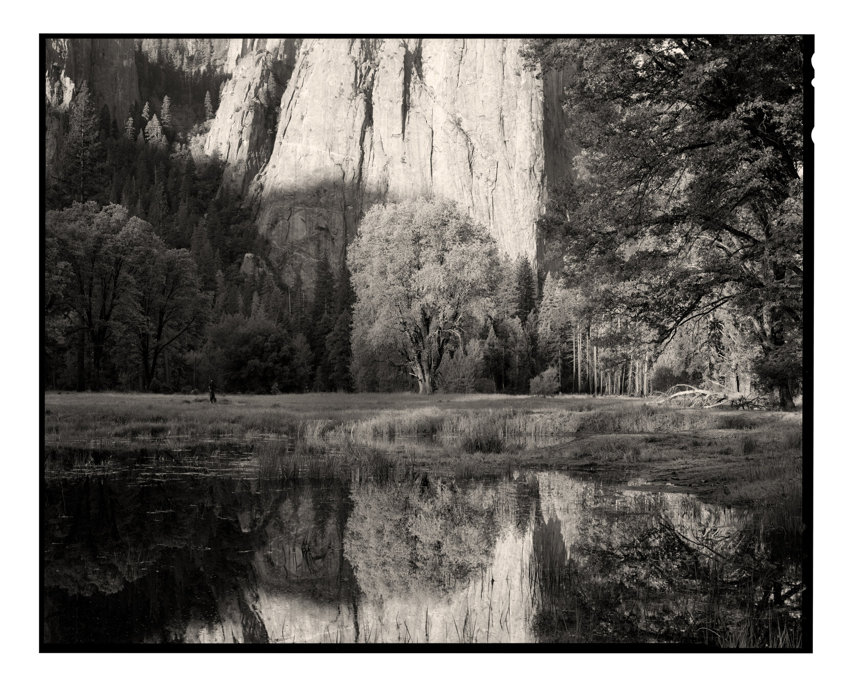 Yosemite Sunrise III